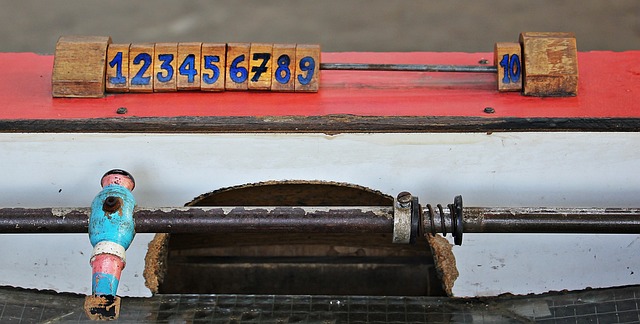 宁夏代表团在全国残特奥会再夺3金