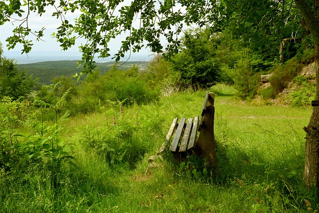 震惊！这队突然连赢五场